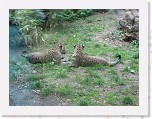 Dierentuin Burgers  Zoo 115 * 3648 x 2736 * (7.28MB)